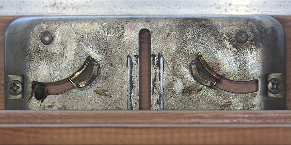 Ganz links im Scharnier: Osmia bicornis Ganz links im Scharnier: Osmia bicornis