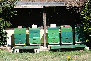 Überdachter Honigbienenstand