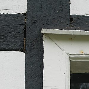 Mauerbienennester in Fachwerk Mauerbienennester in Fachwerk