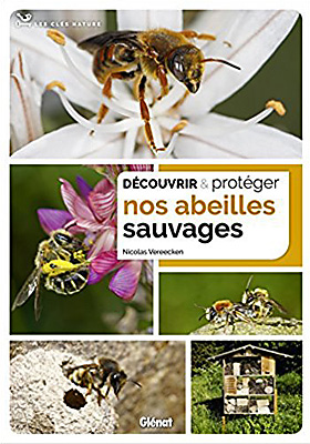 Vereecken: D&eacutecouvrir & protéger nos abeilles sauvages