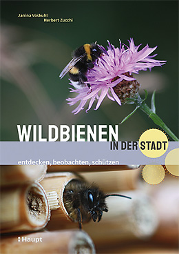 Janina Voskuhl & Herbert Zucchi: Wildbienen in der Stadt