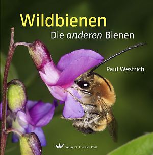 Wildbienen · Die anderen Bienen