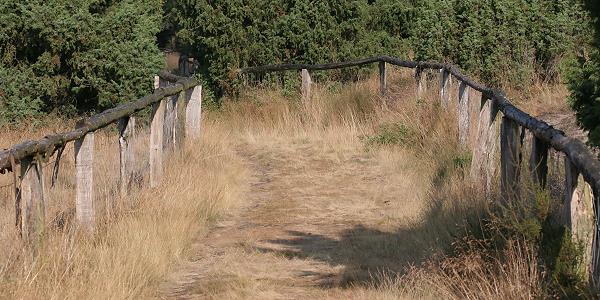 Weg in einer Sandheide