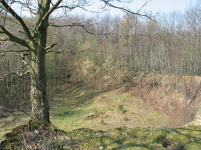 Aufgelassene Tongrube