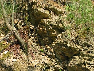 Steilwand einer Tongrube Steilwand einer Tongrube