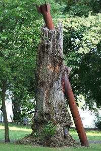 Kunst und Natur: toter Baumstamm