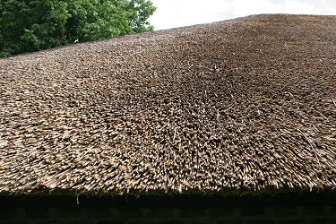 Riedgedecktes Dach Riedgedecktes Dach