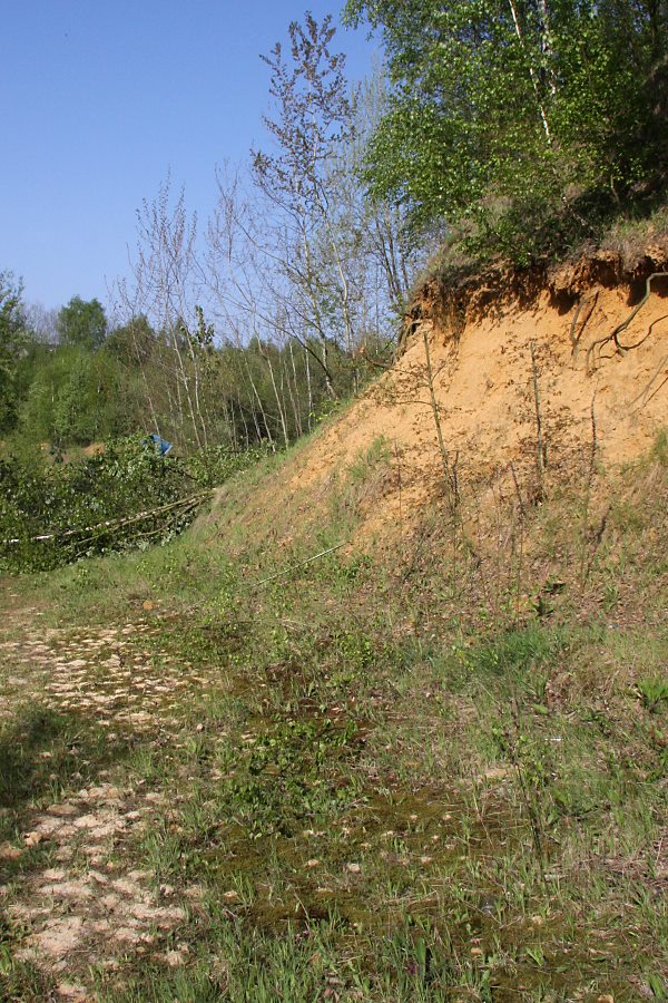 Sandgrube mit Auswurfh&uuml;geln und Steilhang