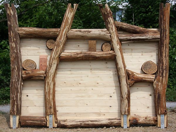 Wildbienenwand: Rahmen