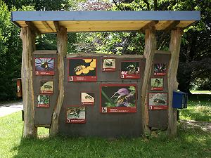 Wildbienenwand mit vielen Farbtafeln