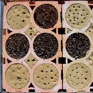 Weinlagersteine bzw. -ziegel als Lehm- und Stengelcontainer