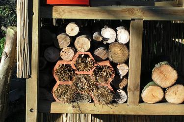 Leipzig: R. Graupner, 3