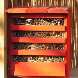 Leipzig: R. Graupner, 4