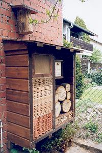 Friedrichsdorf/Taunus: Belzer, 3