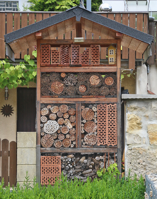 Bienenstand/Nistwand in Pottenstein Bienenstand Pottenstein