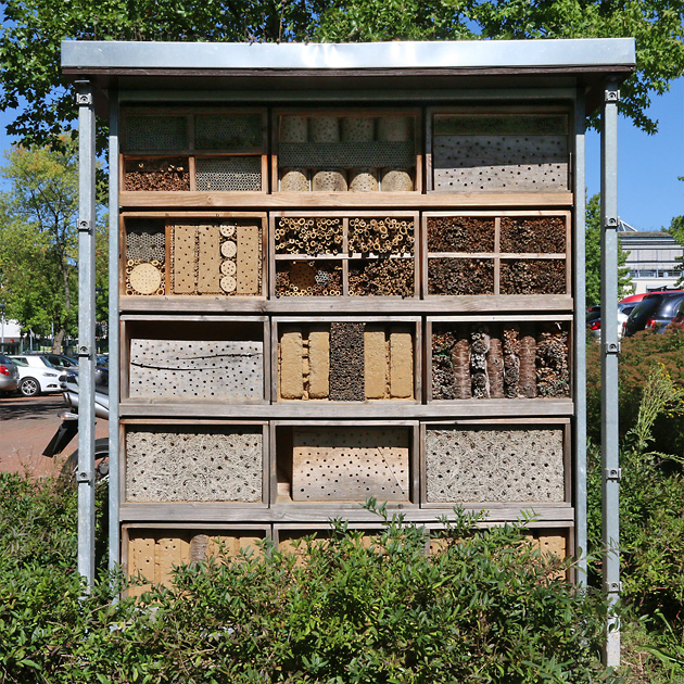 Wildbienenhaus der TBS (10.08.2023) Wildbienenhaus der TBS