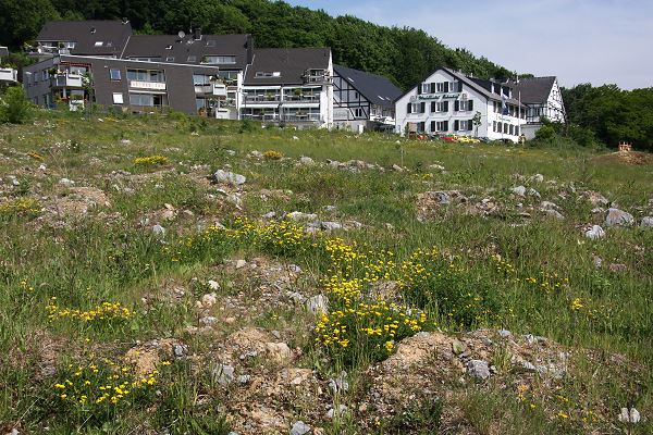 NSG Eskesberg in Wuppertal-Cronenberg