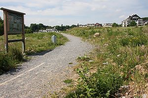 NSG Eskesberg mit Info-Tafel