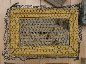 Gefecht als Schutz gegen Vögel Gefecht als Schutz gegen Vögel