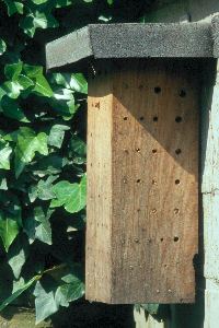 Nistblock mit Dachpappe