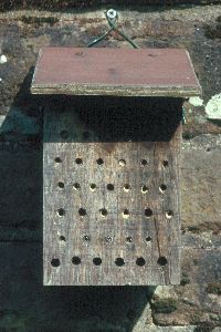 &Uuml;berdachter Nistblock