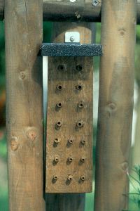 Weichholz-Nistblock mit Hartholzd&uuml;beln