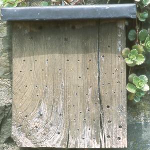 Nistblock für kleine Bienen und Wespen