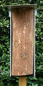 L&auml;ngs halbierter Eichenstamm