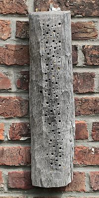 l&auml;ngs gespaltener Hartholzstamm