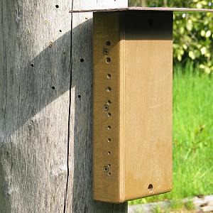 Geh&auml;use-Nistbrett