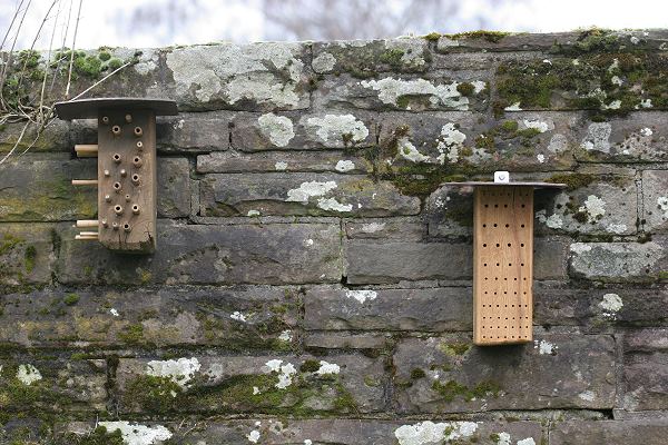 Holzblöcke für Solitärbienen 1
