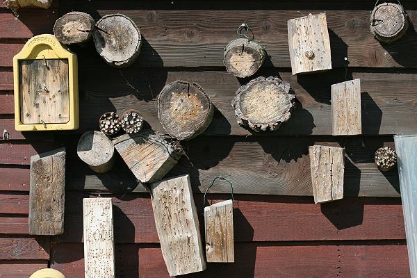 Holzblöcke für Solitärbienen 2