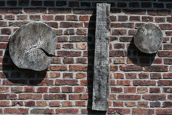 Holzblöcke für Solitärbienen 3