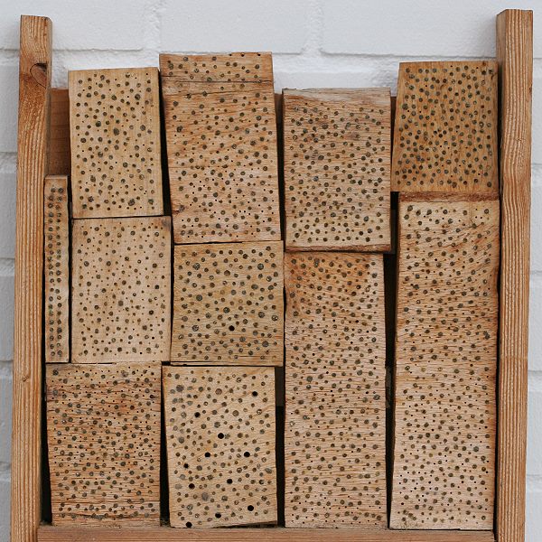 Holzblöcke für Solitärbienen 4