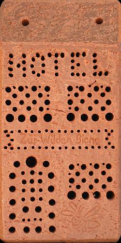 Zu www.wildbiene.com von V. Fockenberg