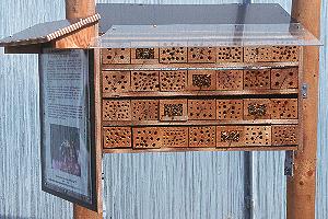 Holznistbl&ouml;cke & Schilfk&auml;stchen