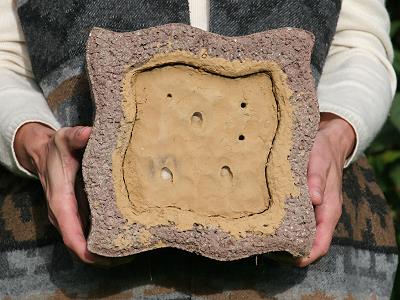 "Impfstein" zur Ansiedlung von Pelzbienen "Impfstein"