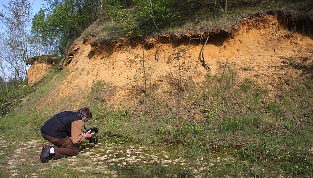Sandgruben und Böschungen Sandgruben und Böschungen