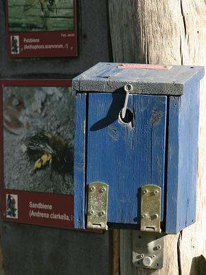 SB-Infokasten an Wildbienenwand SB-Infokasten an Wildbienenwand