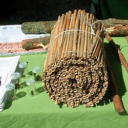 Schilfrohr als Nisthilfe Schilfrohr als Nisthilfe