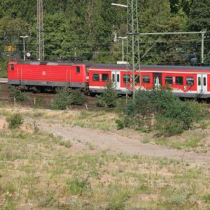 Ruderalfläche am Bahndamm Ruderalfläche am Bahndamm