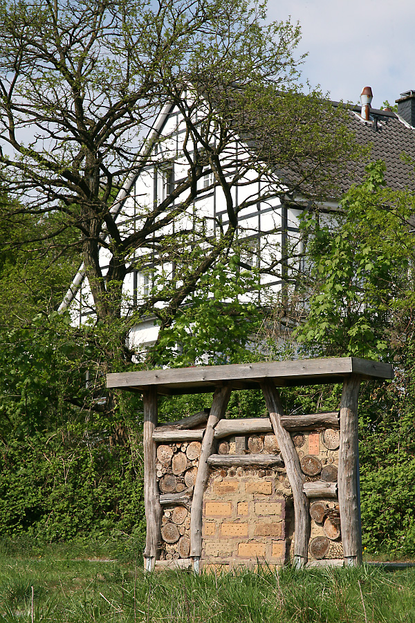 Wildbienenstand Eskesberg