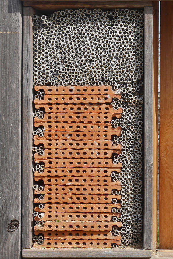 Nistr&ouml;hrchen & Strangfalzziegel