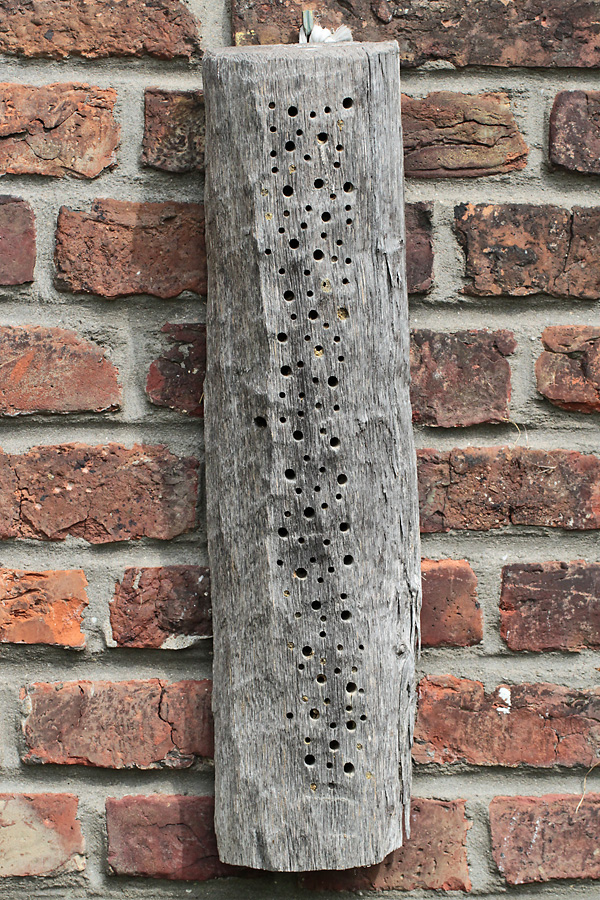 L&auml;ngs gespaltener Hartholzstamm