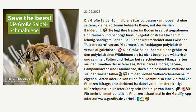 Screenshot aus "Gardify News" "Gardify News"
