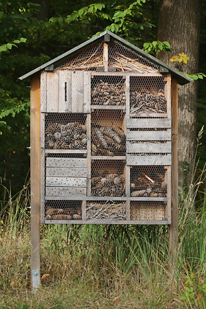 "Bienenhaus" "Bienenhaus"