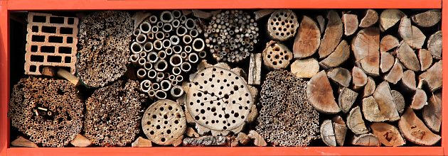 Untaugliche Bienen-Nisthilfen
