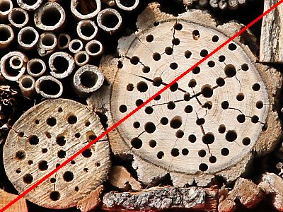 Risse in einer Baumscheibe