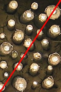 Waagerechte Stengel mit Mark