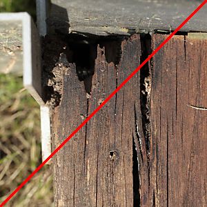 F&auml;ulnis an der R&uuml;ckseite